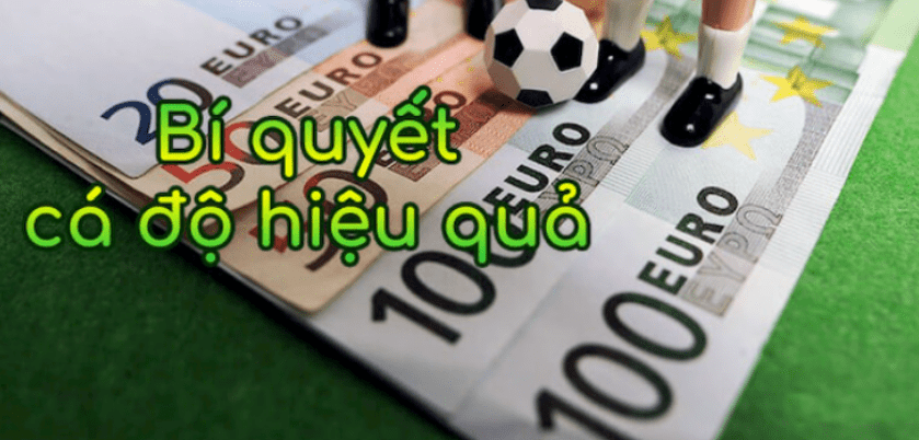 Đăng Ký New88 - Để Trở Thành Hội Viên Đẳng Cấp 13 Đăng ký new88 chơi cá cược cùng cao thủ