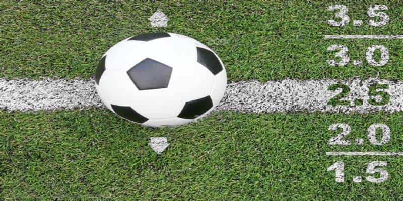 Tài Xỉu Trong Cá Cược Bóng Đá New88 Là Như Thế Nào? 4 Tài Xỉu Trong Cá Cược Bóng Đá Là Như Thế Nào? Ví Dụ Dễ Hiểu Nhất