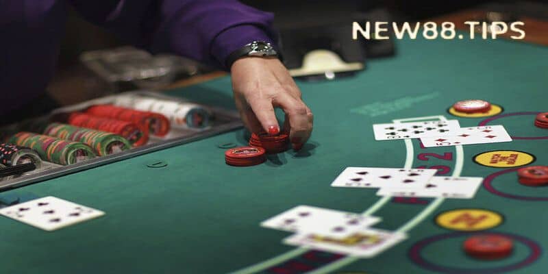 Đặt cược gấp thếp